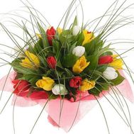 Bouquet of flowers from 23 tulips