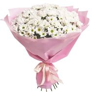 Bouquet of flowers from 15 chamomile chrysanthemums