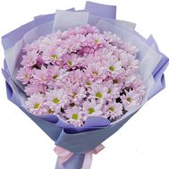 Bouquet of 15 pink chrysanthemums