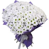 Bouquet of flowers from 45 chamomile chrysanthemums