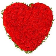 101 red carnations