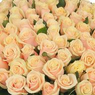 Cream roses per piece