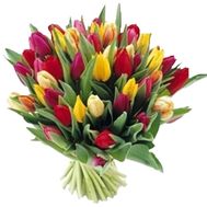 Bouquet of flowers from 55 multi-colored tulips