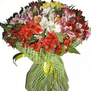 Bouquet of 51 alstromerias