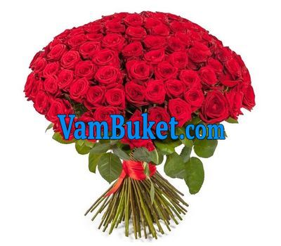 Bouquet of 101 red roses