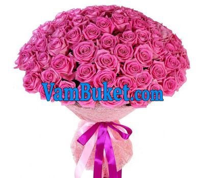 101 pink roses