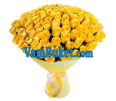 101 yellow rose