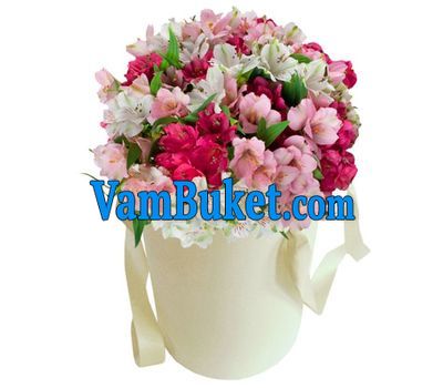 Alstroemeria in a hat box