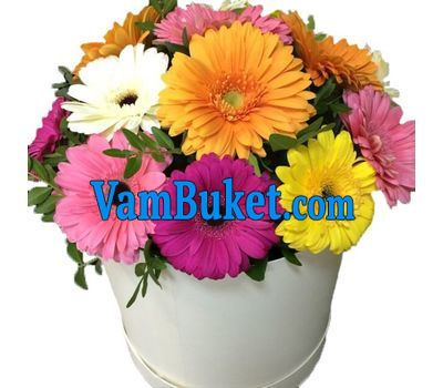 Gerberas in a round box