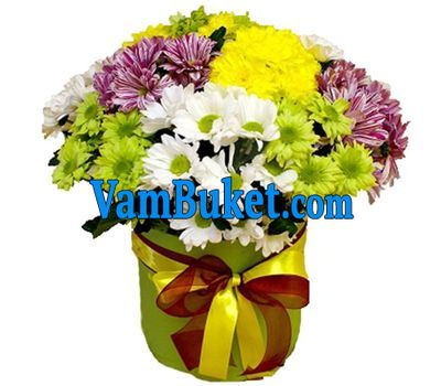 Chrysanthemums in a Hat Box