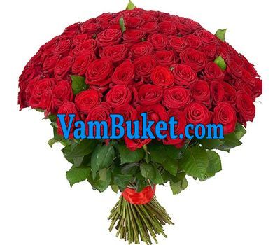 Buy 151 red roses