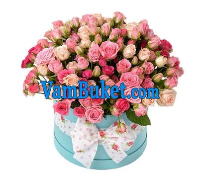 Shrub roses in the box