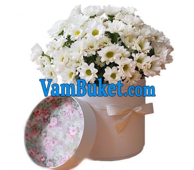 Chamomile chrysanthemums in a box