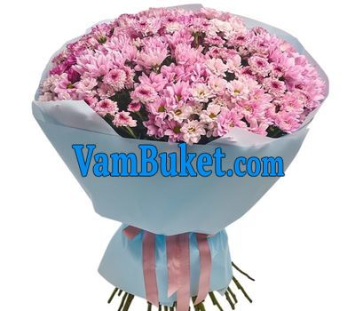 31 chrysanthemums in bouquet