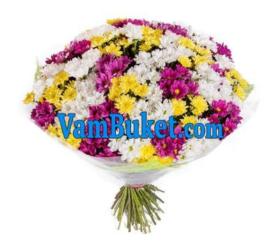 51 chrysanthemum in bouquet