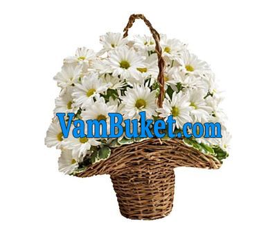 Basket of 7 daisy chrysanthemums