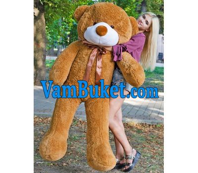 Brown teddy bear 2 meters