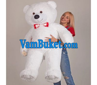 beautiful bear 160 cm