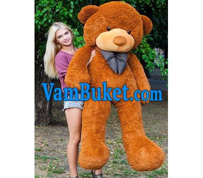 Teddy bear brown 2m