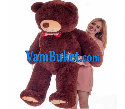bear one and a half meters