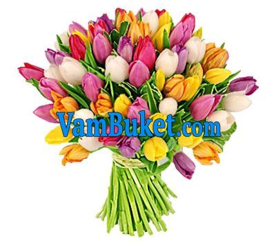 Bouquet of 75 multi-colored tulips