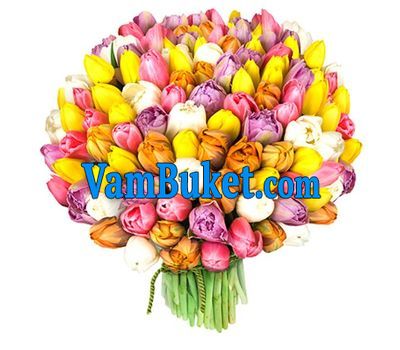 Bouquet of 101 different colored tulips