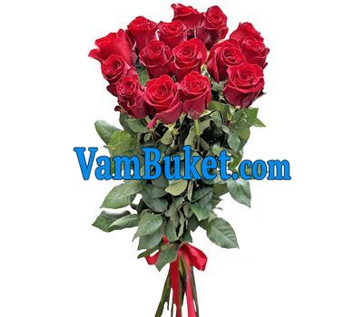Bouquet of 15 red roses