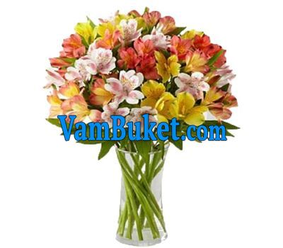 Bouquet of 19 multicolored alstromeries