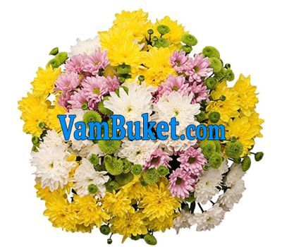 Букет із 23 хризантем