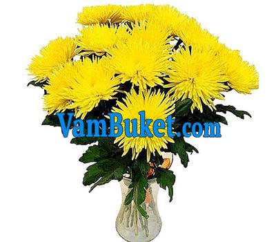 Bouquet of 19 yellow chrysanthemums