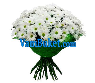 A bouquet of flowers from 19 chamomile chrysanthemums