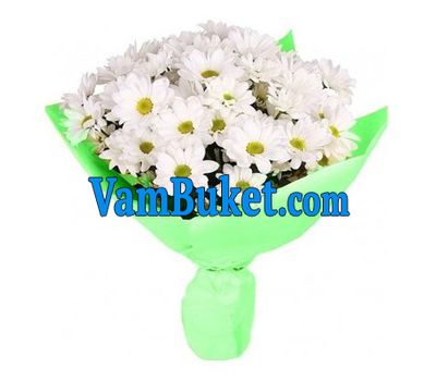 Bouquet of 9 white chrysanthemums