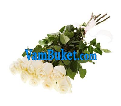 Bouquet of 9 white roses