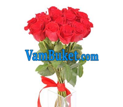 Bouquet of 15 red roses