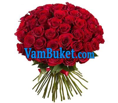 Bouquet of 55 red roses