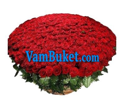Bouquet of 1001 roses!