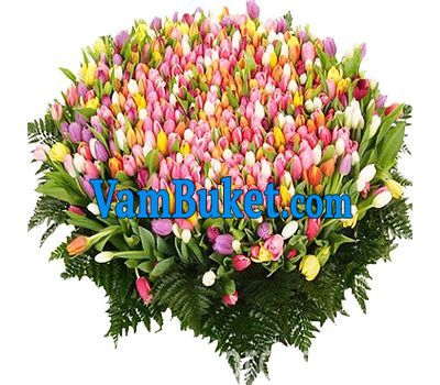 Bouquet of 1001 tulips
