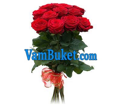 Bouquet of 11 red roses