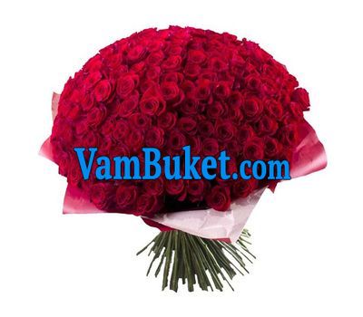 Bouquet of 501 roses