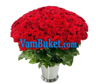 Bouquet of 75 roses