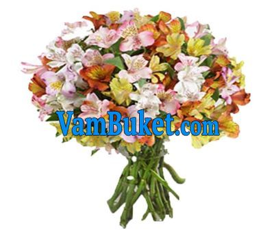 Bouquet of 35 multicolored alstromeries