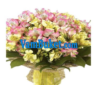 Bouquet of 41 multi-colored alstroemerias
