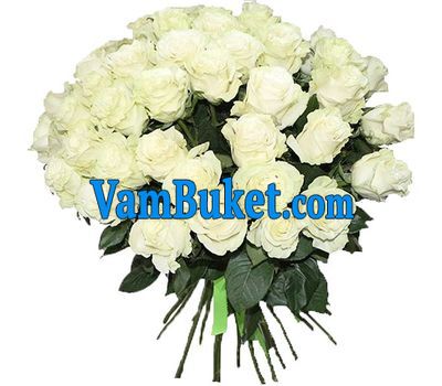 Bouquet of 55 white roses
