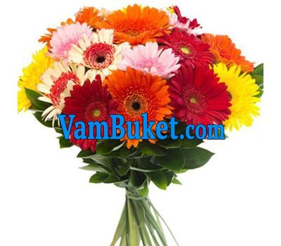 Bouquet of flowers from 25 multi-colored gerberas