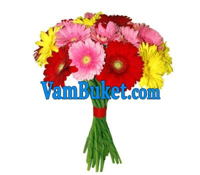Bouquet of 21 multicolored gerberas