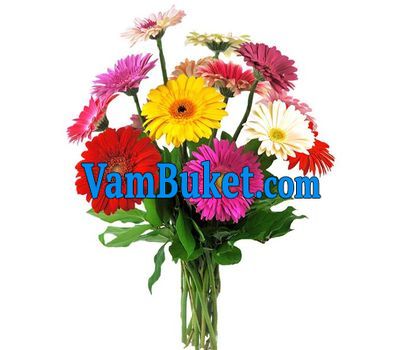 Bouquet of 11 different colored gerberas