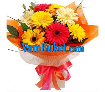 Bouquet of 9 gerberas