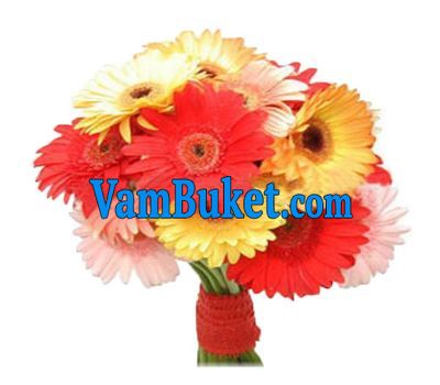 Bouquet of flowers of 19 different gerberas
