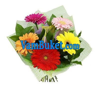 Bouquet of flowers of 3 varicoloured gerberas