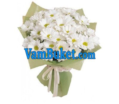 Bouquet of 7 white chrysanthemums
